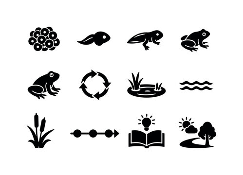 Life Cycle Diagram Frog. Solid icon set of Life Cycle Diagram Frog: frog eggs, tadpole early, tadpole late, froglet, adult frog, circular