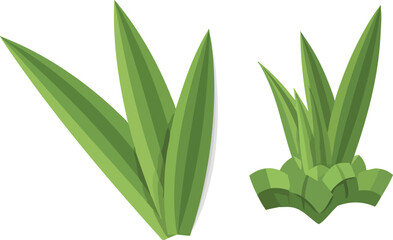Obraz premium Illustration of two types of green grass, one clumped and the other with long, flowing blades, on a white background