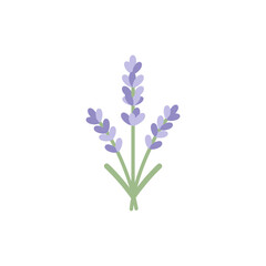 Obraz premium Lavender Stems with Soft Curves Flat Design
