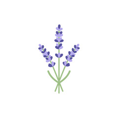 Obraz premium Lavender Stems Icon with Soft Botanical Spacing