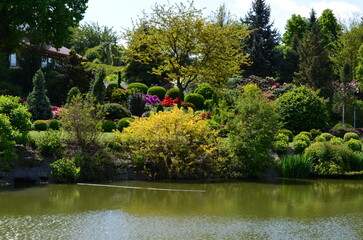 Wiosenna kompozycja krzewów nad stawem w ogrodzie botanicznym © Ewa