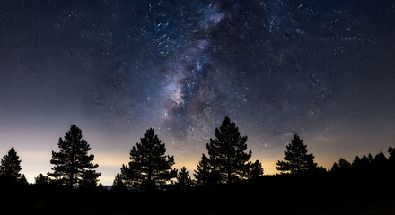 a night sky with a lot of stars and a lot of trees