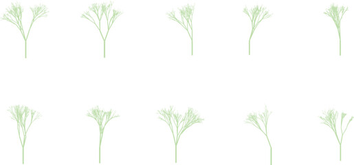 Ten delicate light green fractal branching tree shapes stand upright against a clean white background © Ratna