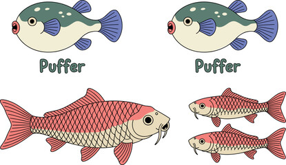 Puffer Fish and Koi Carp Illustration Set Cute and Detailed Aquatic Vector Collection © Vector Design Hub
