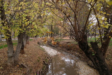 Obraz premium autumn in the park