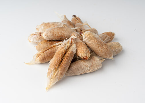 Isolated date seeds and date stones with macro texture