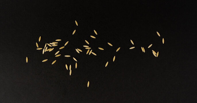 Raw orzo pasta, risoni or kritharaki pile