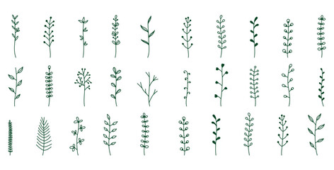 Collection of charming hand drawn botanical elements featuring various dark green leafy sprigs and delicate floral vine outlines perfect for decoration