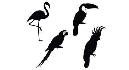 Naklejka premium Collection of exotic birds silhouettes featuring flamingo parrot toucan and hoopoe in unique poses