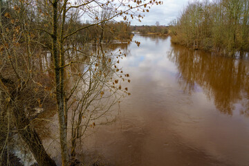 flooded river in spring