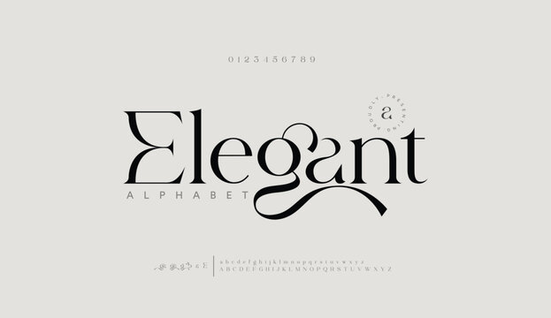 Elegant Font Uppercase Lowercase and Number. Classic Lettering Minimal Fashion Designs. Typography modern serif fonts regular decorative vintage concept. vector illustration
