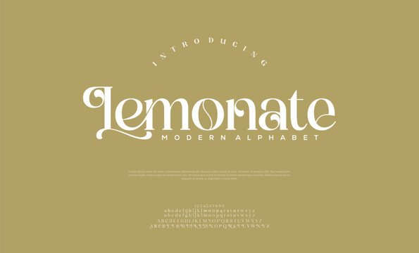 Elegant luxury abstract digital technology logo font alphabet. Minimal modern urban fonts for logo, brand etc. Typography typeface uppercase lowercase and number. vector illustration
