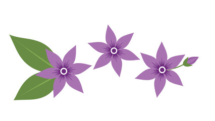 Obraz premium Simple and elegant illustration of three purple five-petaled flowers with green leaves and a small bud on a plain white background.