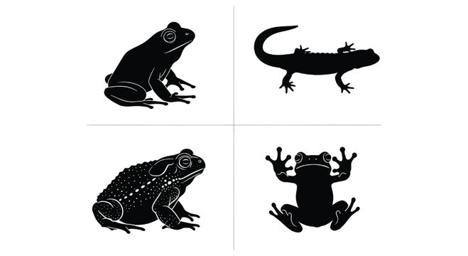 Vector illustrations of various frog species in different poses and silhouettes on a clean white background