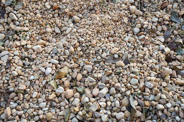 natural texture of mixed small pebbles and fallen leaves scattered on the ground