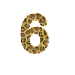 Fuzzy Leopard Print Number 6 illustration, 3D Render