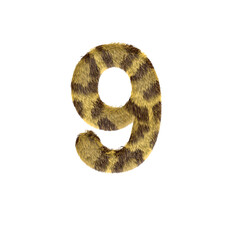 Fuzzy Leopard Print Number 9 illustration, 3D Render