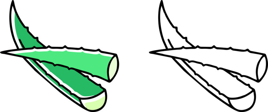 Fresh aloe vera leaf slices icon for cosmetic or health design