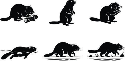 Beaver silhouette collection showing aquatic rodent in various poses including swimming, gnawing wood, and standing isolated on white background wildlife vector set © MdMurad