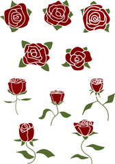 set of red roses vector