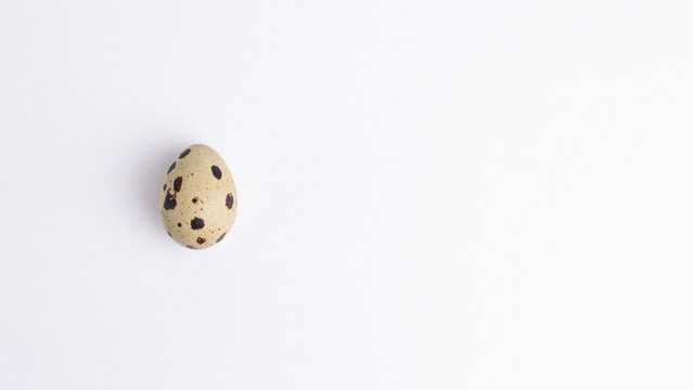 Single quail egg isolated on white background with copy space. Organic healthy food ingredient concept.
