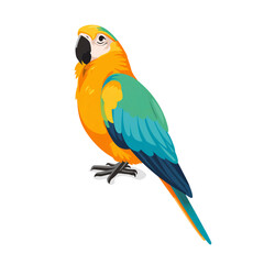 Fototapeta premium Colorful Parrot With Bright Feathers Perched Against a White Background
