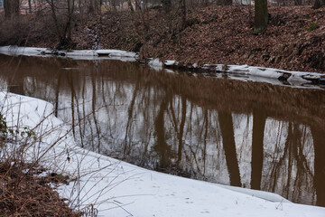 Niewielka, nieuregulowana rzeka w czasie zimowych roztopów. W wodzie widoczne są pnie powalonych drzew. Przy brzegach są tafle lodu. Brzegi pozbawione są śniegu. © boguslavus