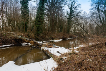 Niewielka, nieuregulowana rzeka w czasie zimowych roztopów. W wodzie widoczne są pnie powalonych drzew. Przy brzegach są tafle lodu. Brzegi pozbawione są śniegu. © boguslavus