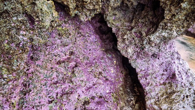 Volcanic island and grotto; grot caves in calcareous rocks and calcareous white sediment. Spice Islands and the Banda Sea