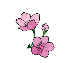 水彩テクスチャの桜4