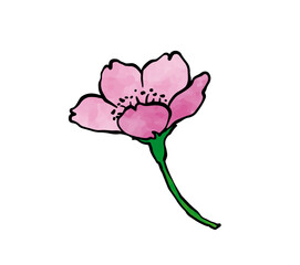 水彩テクスチャの桜3

