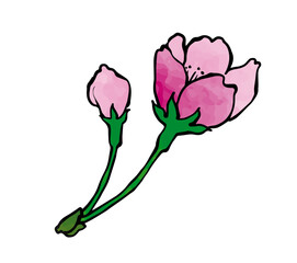 水彩テクスチャの桜2