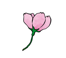 水彩テクスチャの桜1