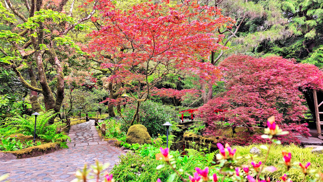 Red foliage and flowers of the Japanese Gardens of beautiful Butchart Gardens, Victoria, Canada