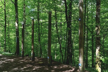 Gymnastics rings as obstacles course, fitness equipment in the forest used by people for exercising situated near Urdorf, Switzerland.