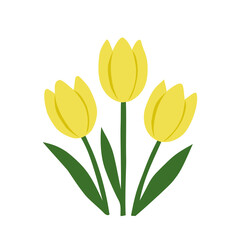 yellow tulips on transparent background