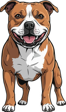 Staffordshire Bull Terrier Dog standing happy smiling pose
