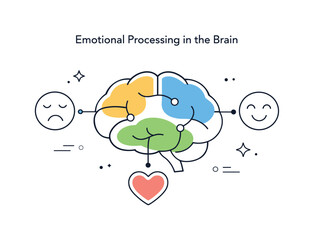 Emotional Brain Connection. Emotional processing in the brain. Abstract brain with colored areas connected to heart and face icons. Calm explanation of how