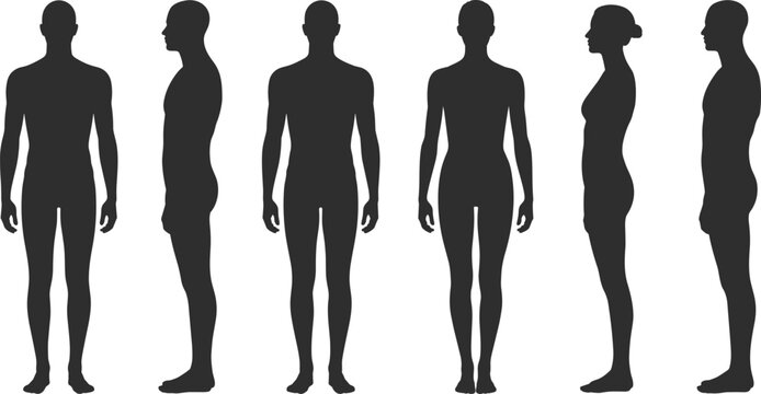 Set of black silhouettes featuring adult male and female human body figures shown in front and side profile views for medical and fashion design.nt