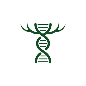 A green DNA double helix with antler-like structures on a white background