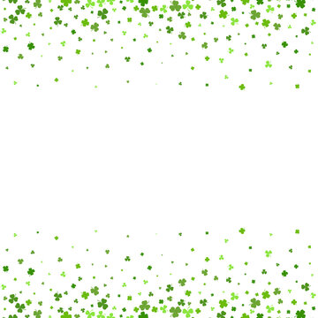 Green clover leaves on a transparent background. Natural frame. St.Patrick 's Day. 