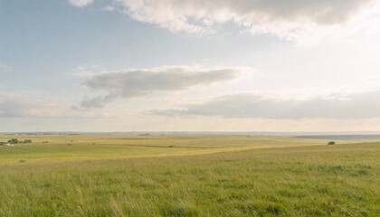 Expansive Green Landscape Under Soft Clouds and Blue Sky