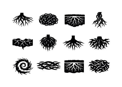 Tangled roots. Solid icon set of Tangled roots: intertwined tree roots, knotted roots mass, underground root network, twisted vine roots,