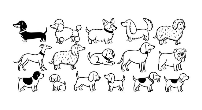Line art flat vector sheet of assorted dog breeds in side view and sitting poses on white background playful layout
