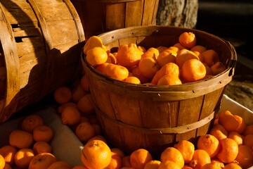 a bushel full of fresh ornages