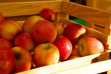 ripe red apples in a crate
