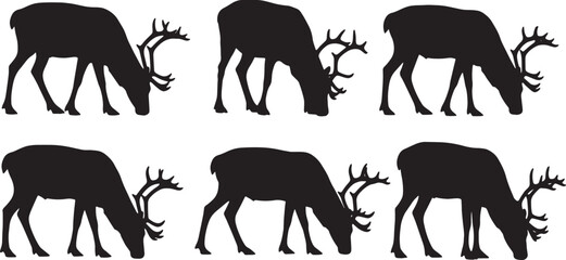 Black Solid Reindeer Grazing and Feeding Silhouettes Set of Six on White Background © Shakeel