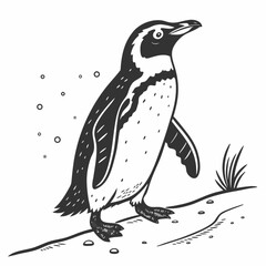 Obraz premium Black and White Penguin Bird Vector Graphic