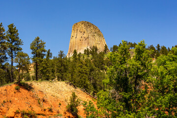 Wyoming natural landmark Devil's Tower rises above the surrounding woods