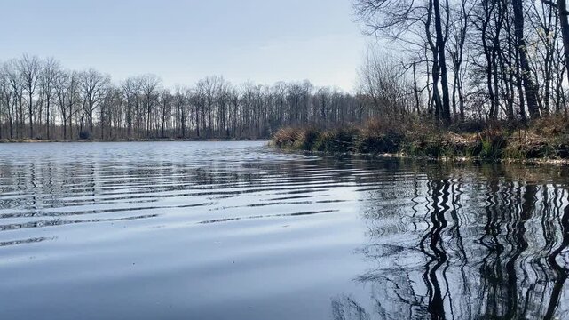 Waves and rippling lake water at nature Park Domein Kiewit in Hasselt, landscape in Belgium.